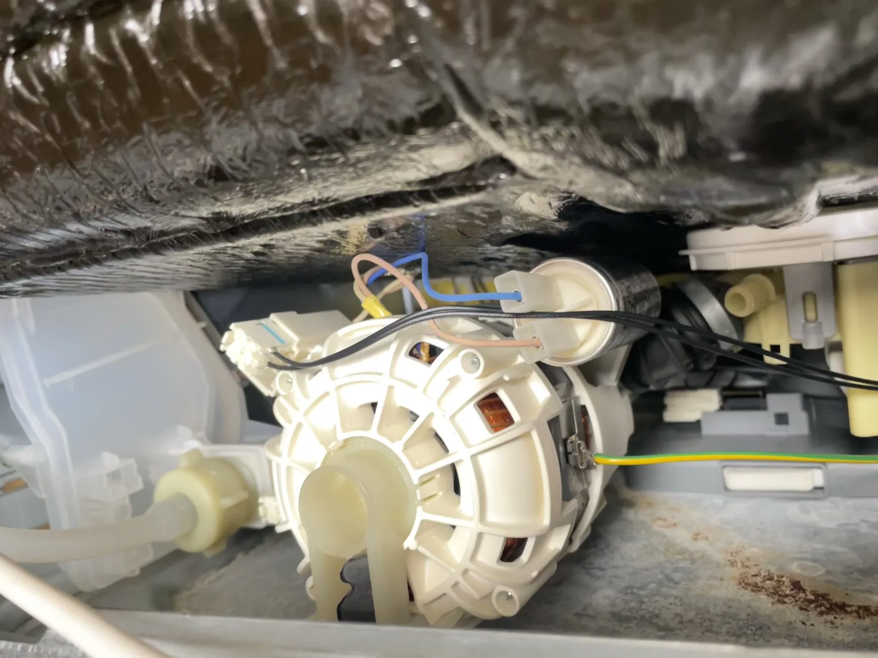Appliance pump and motor assembly visible during inspection